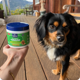 Person holding pet allergy supplement container in front of a black and brown dog on a porch.
