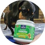 A dog sniffing a container labeled 'Allergy + Immune' supplements.