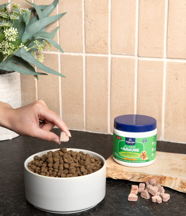 A hand holds a supplement above a bowl of dog food.