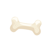 A cartoon-style bone on a white background.