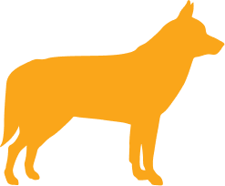 Silhouette of a dog in orange, facing right.