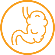 Stylized orange outline of a stomach inside a circle.