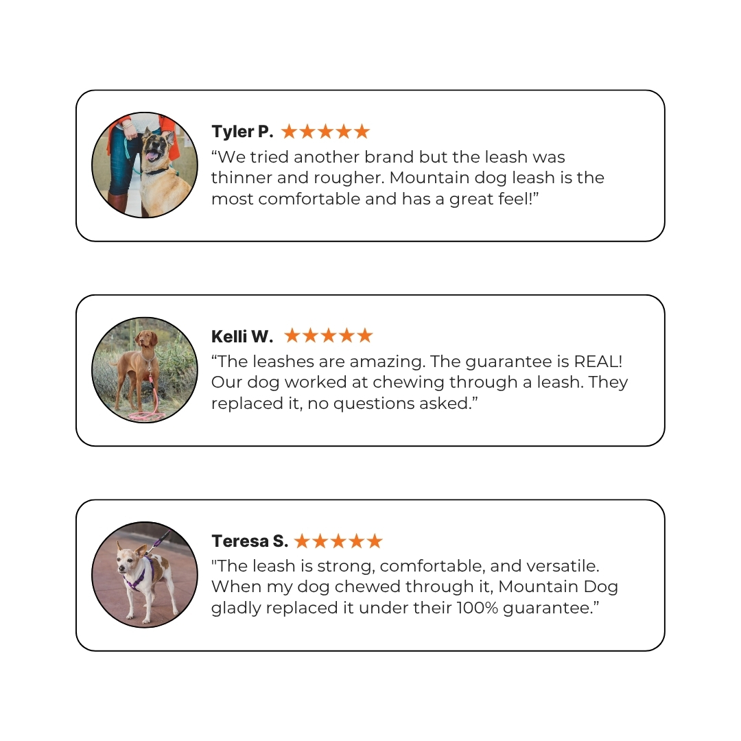 Three customer reviews with star ratings and dog images.
