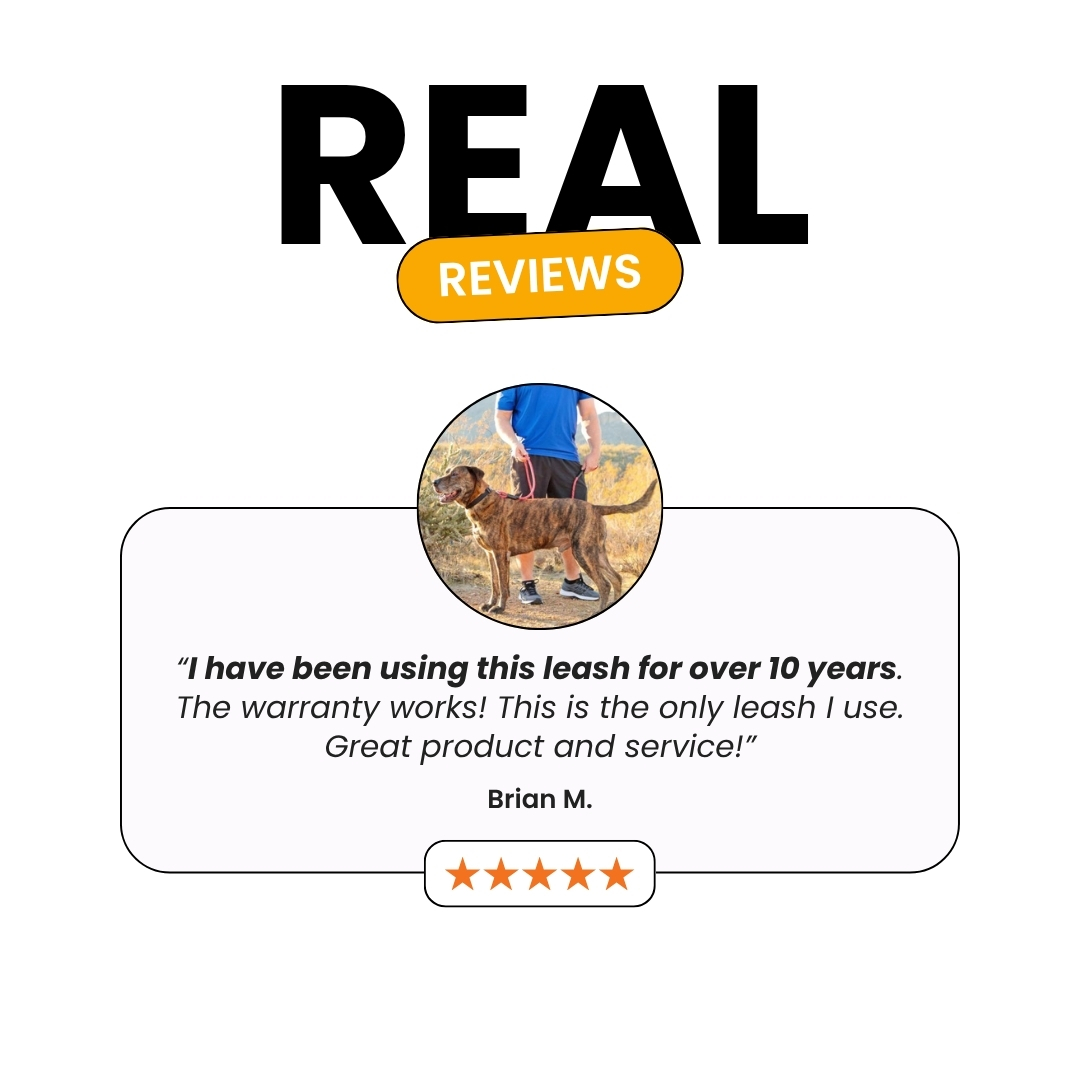 Review with a dog image, text about a leash, and five-star rating.