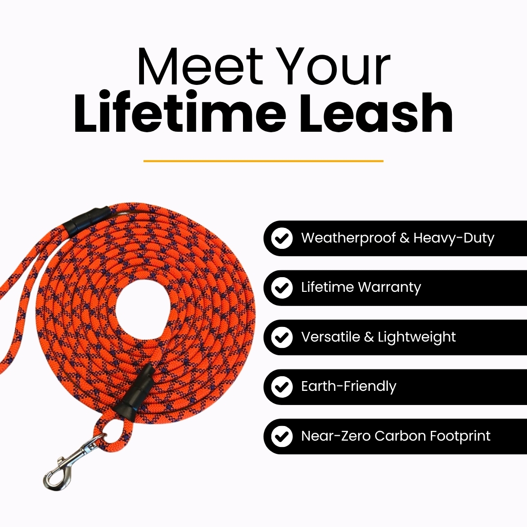 Orange and black leash with text highlighting features like weatherproof and lifetime warranty.