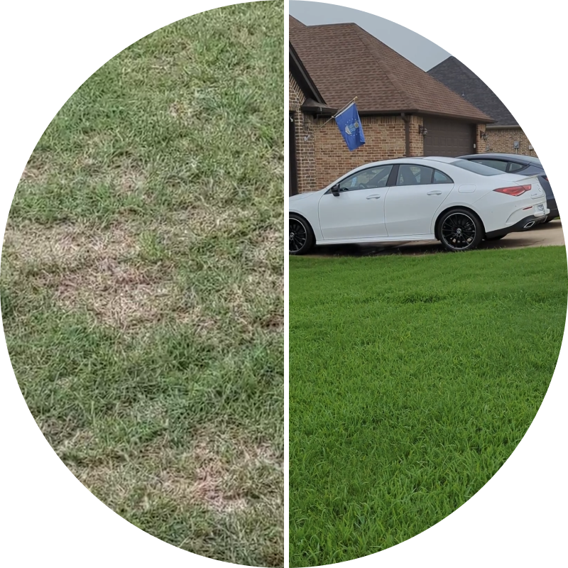 Side-by-side comparison of brown grass and green lawn with parked cars.