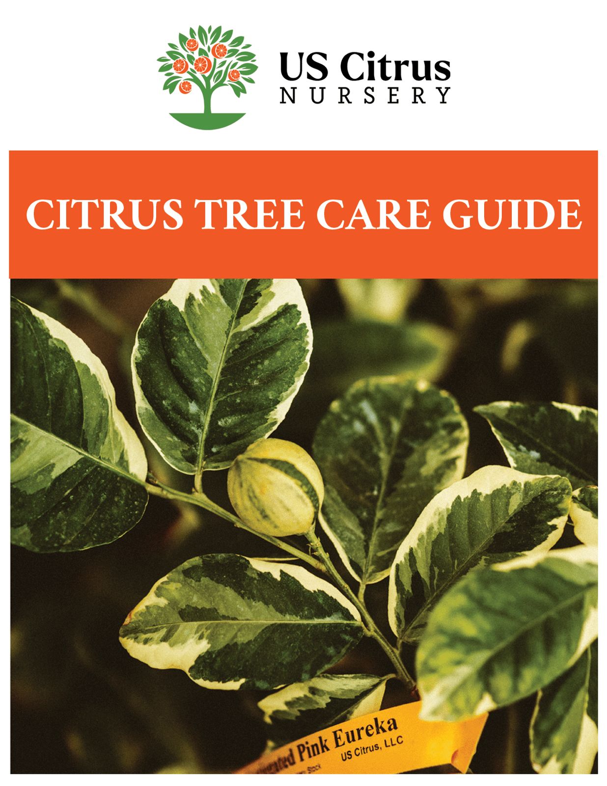 The cover of the US Citrus Nursery Citrus Tree Care Guide, showing a variegated lemon plant.