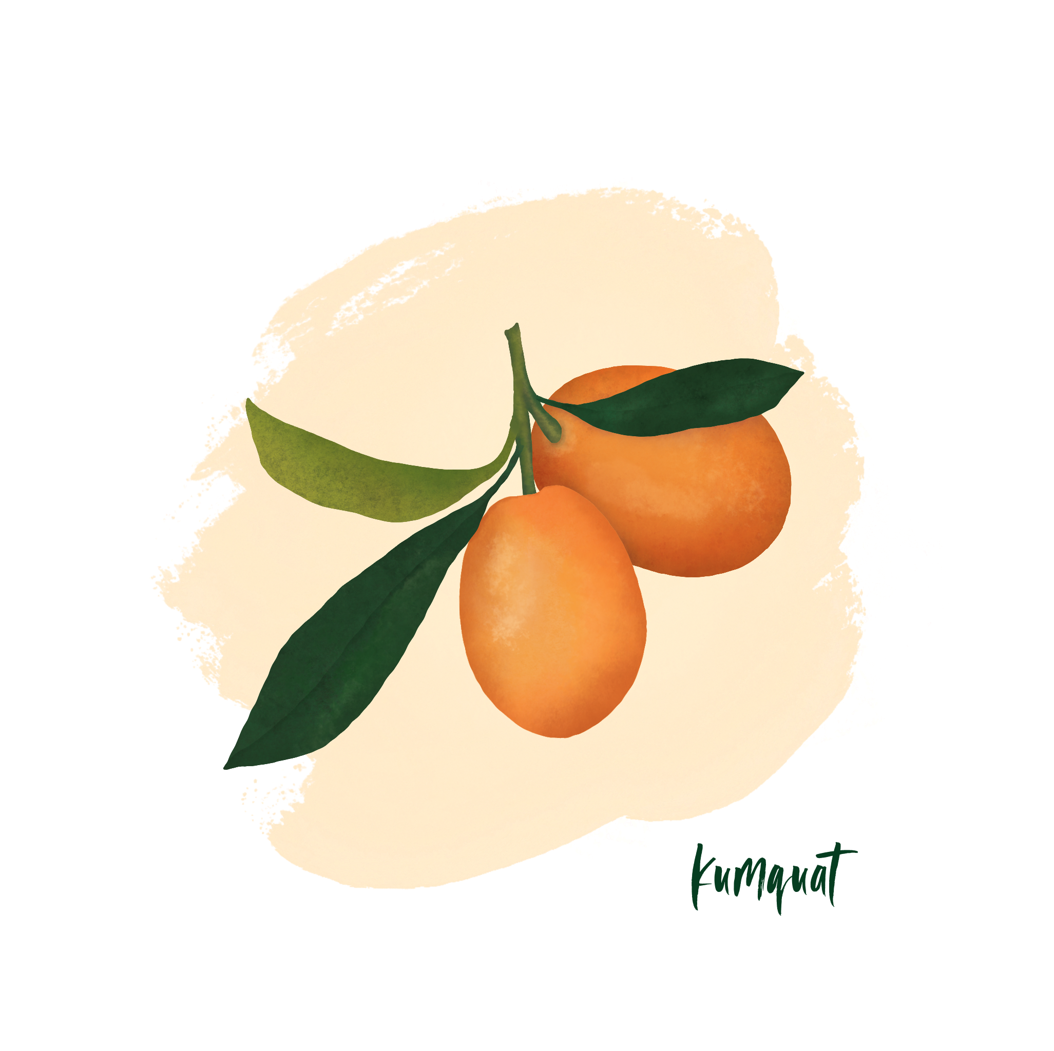 Illustration of kumquats with leaves on a textured background.