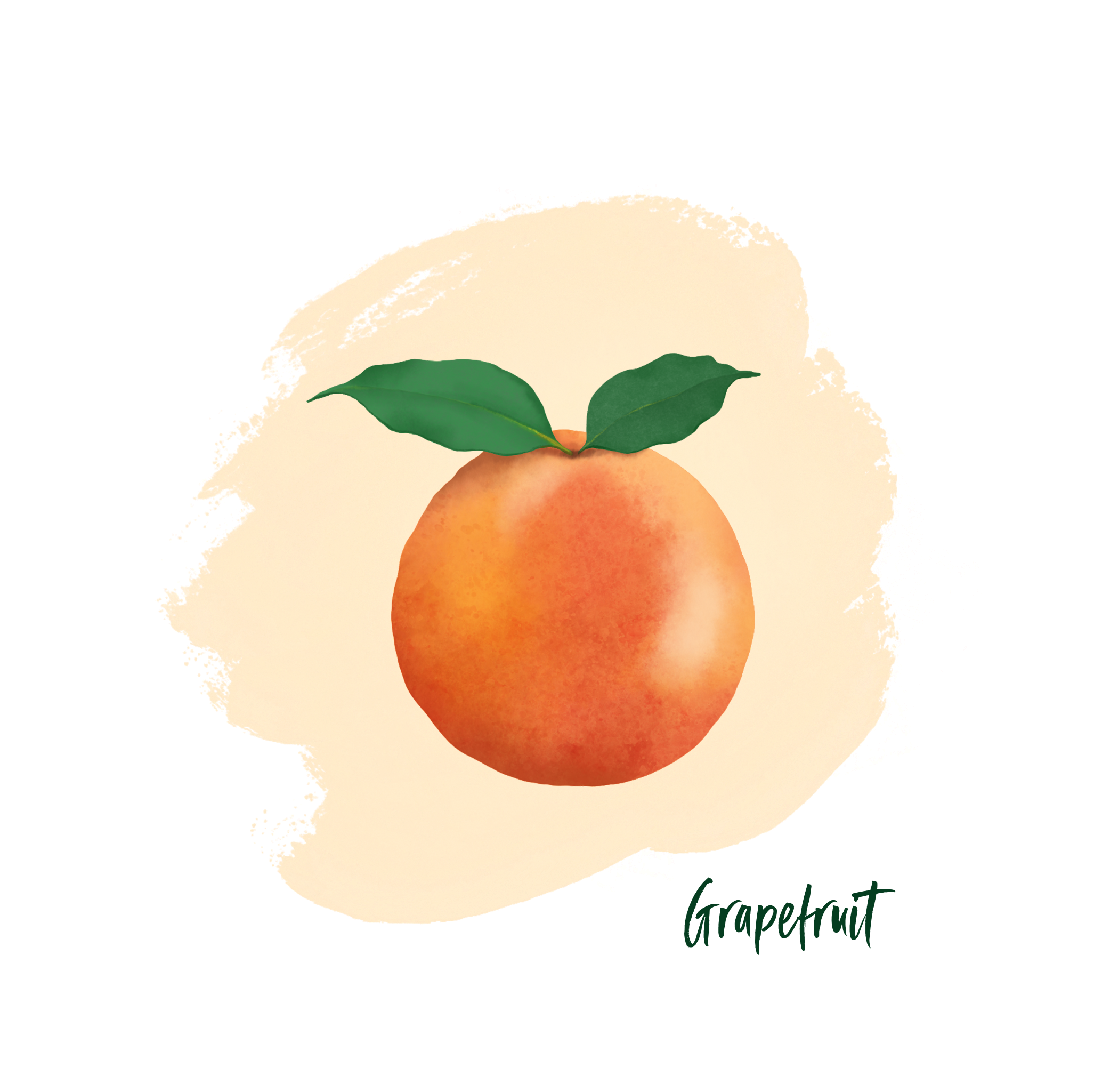 Illustration of a grapefruit with leaves on a textured beige background.