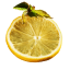 Half a lemon with two leaves attached, on a white background.