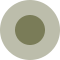 A solid olive green circle on a transparent background.