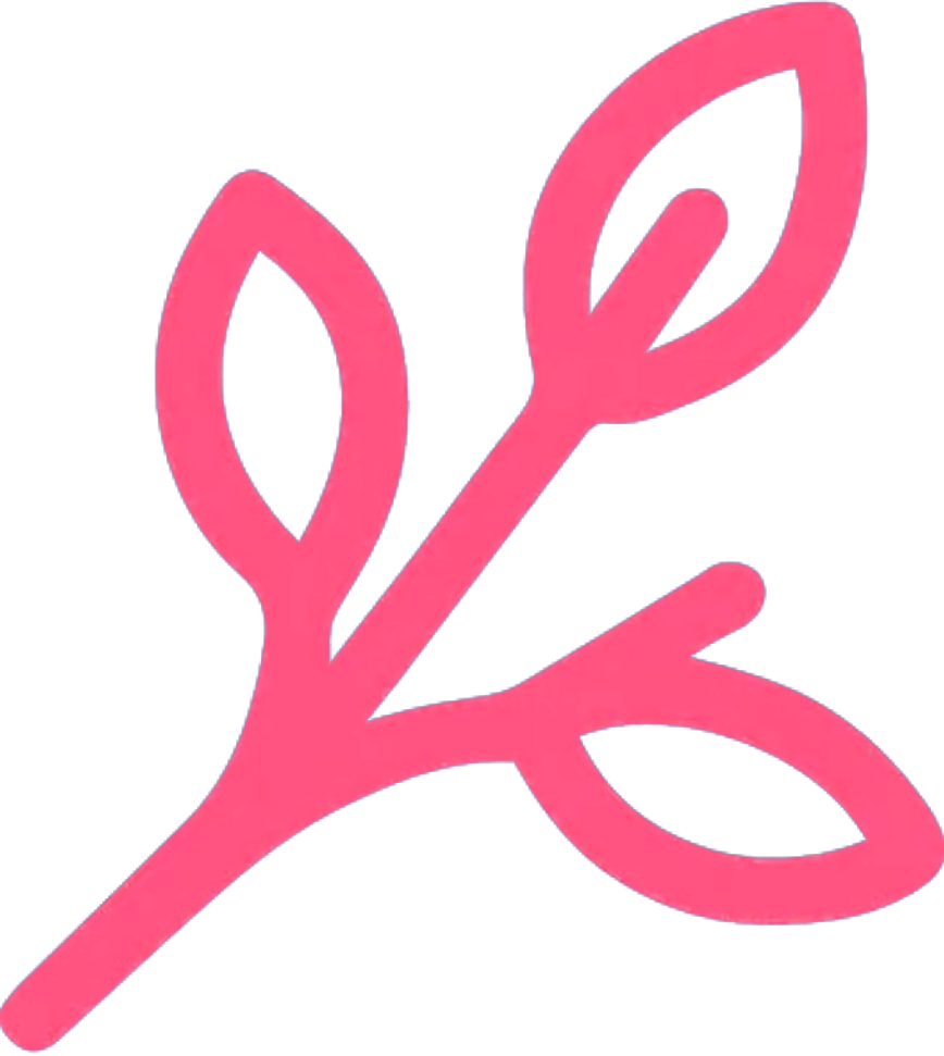 A pink line drawing of a sprig with several leaves on a white background.