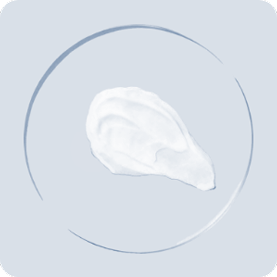 A single oyster on a round plate, viewed from above.