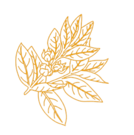A gold line drawing of a leafy branch with small flowers.