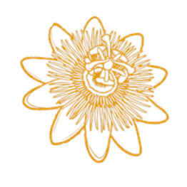 An orange and white line drawing of a passion flower.