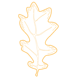 A line drawing of an oak leaf with a yellow-orange outline on a white background.