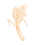 Roasted Barley