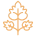French oak