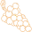 Chardonnay Grapes