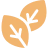 Adaptogens