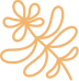 Rhodiola