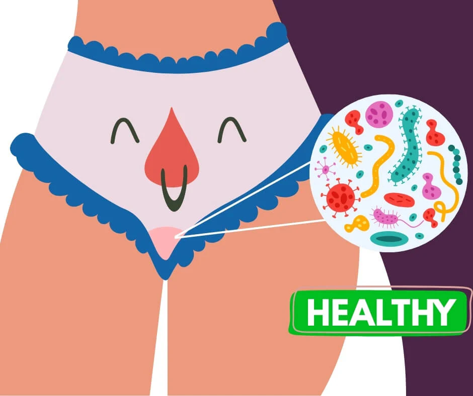 An illustration showing the concept of a healthy vaginal microbiome with a magnified view of microbes.