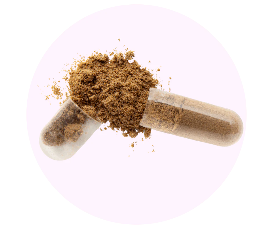 A clear capsule opened up with a small pile of brown powder spilling out onto a pale pink surface.