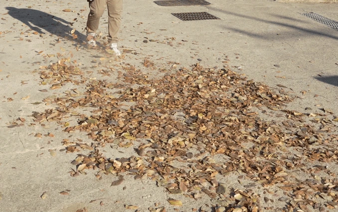 Person walking through dry leaves scattered on a concrete surface.