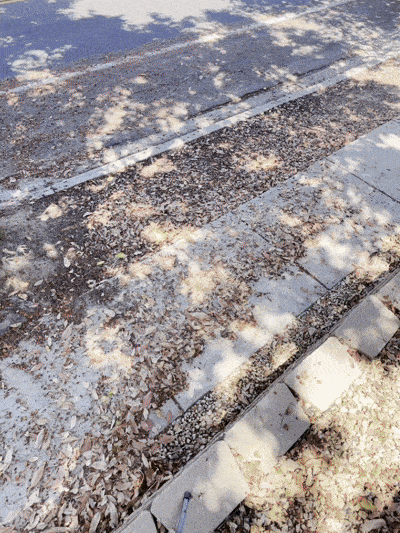 Leaf-strewn sidewalk and road under dappled sunlight, with shadows from branches.