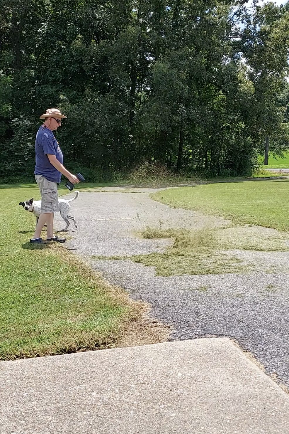 Person using a leaf blower on a pathway, with a dog nearby.