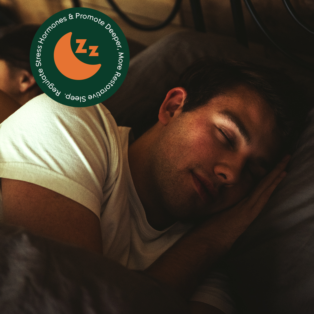 Person sleeping peacefully with head resting on a pillow.