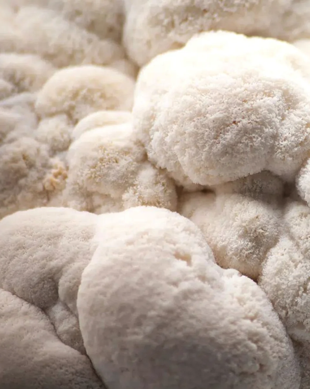 Close-up of fluffy, white, textured surface resembling clouds or soft fabric.