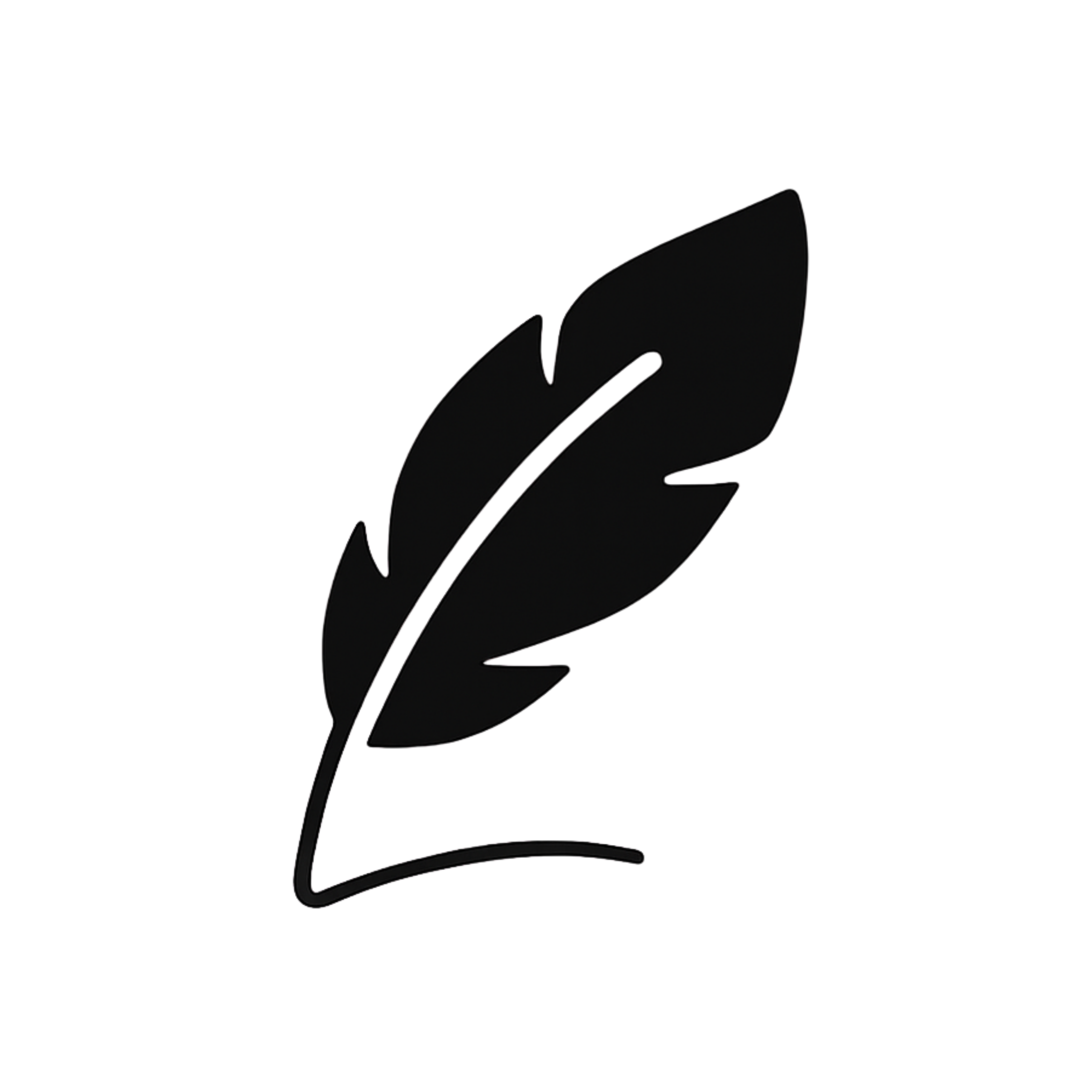 Solid black square, no distinguishable features.