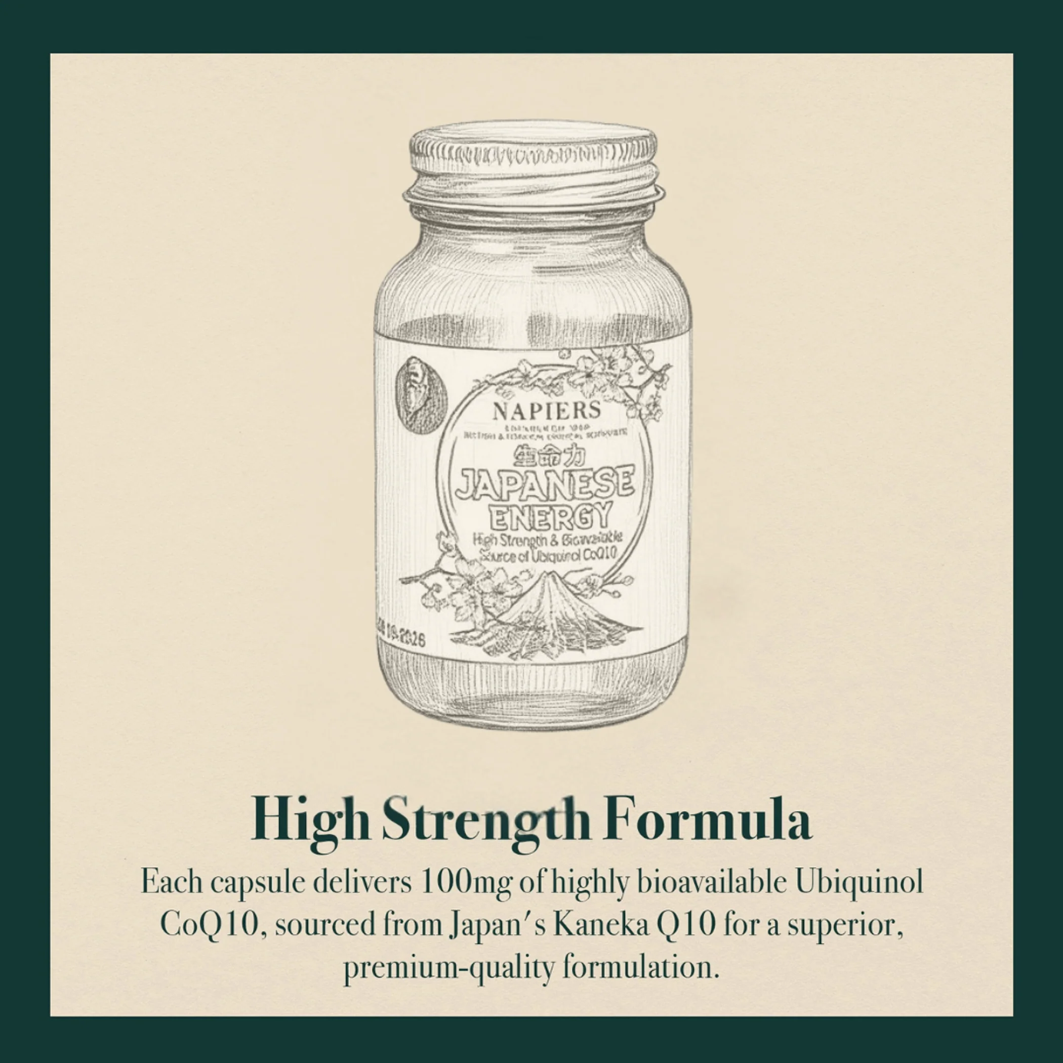 Illustration of a bottle labeled 'Japanese Energy' with botanical motifs.