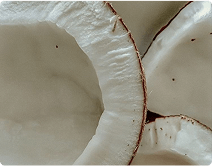 Close-up of sliced coconut pieces.