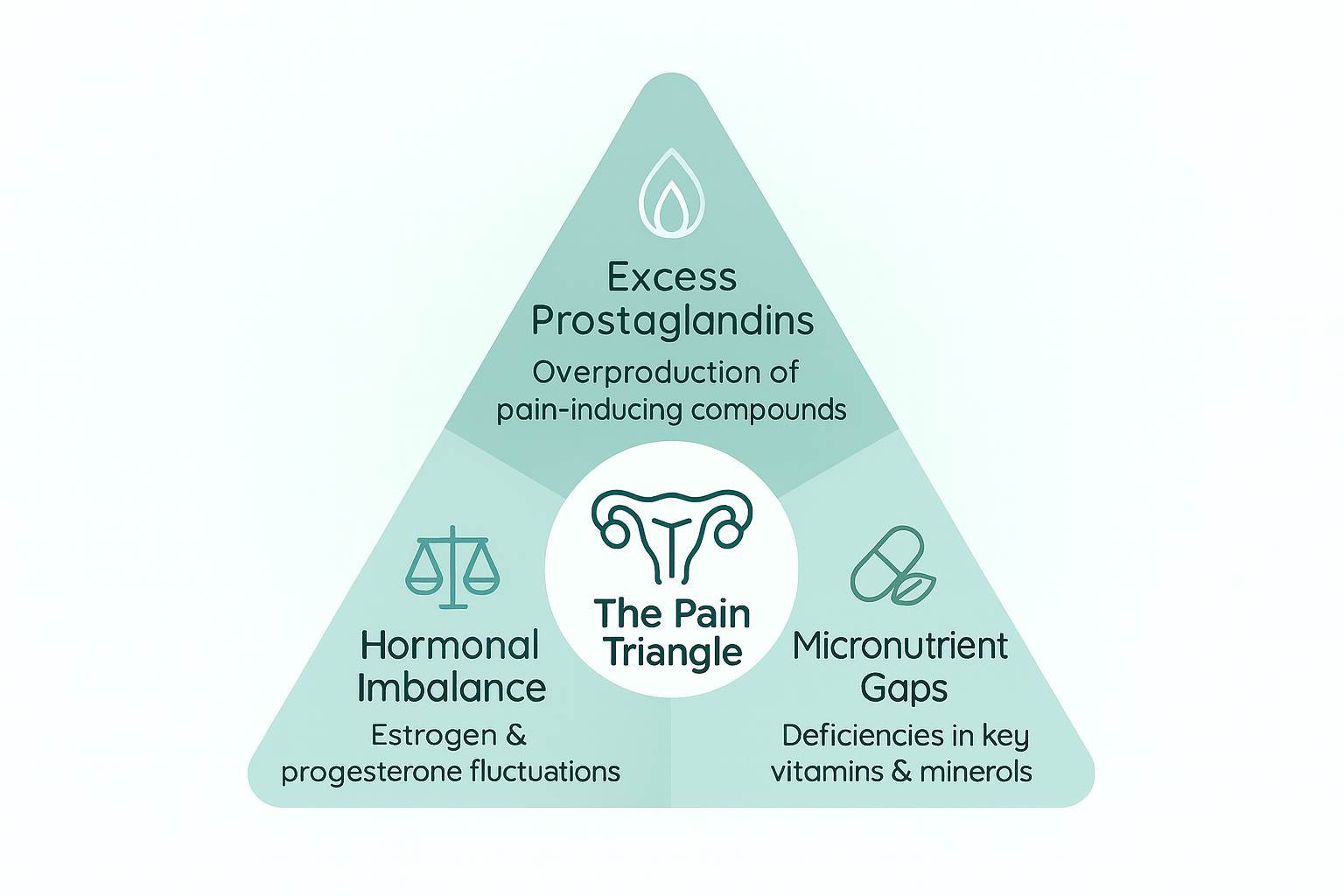 Triangle diagram labeled 'The Pain Triangle' with hormonal imbalance, micronutrient gaps, excess prostaglandins.