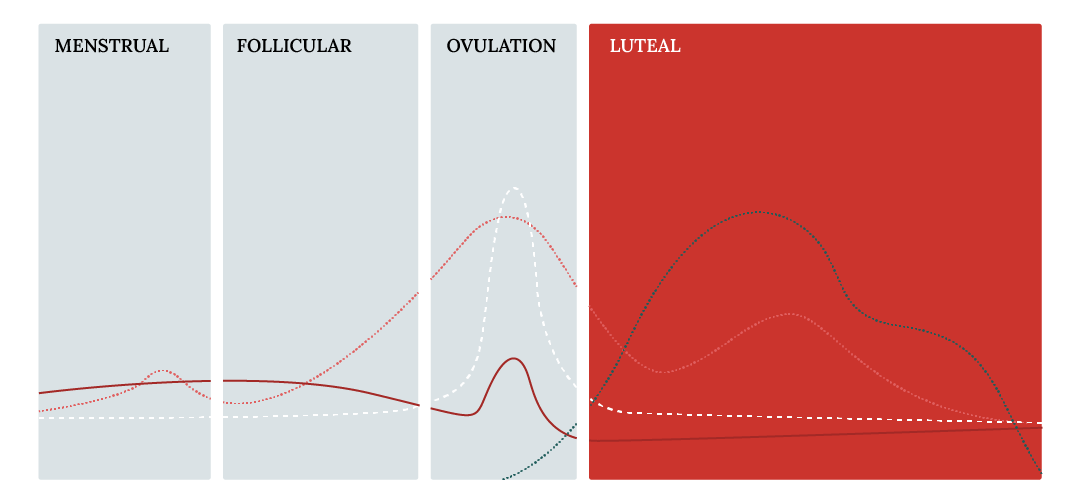 Graph showing hormonal changes during menstrual, follicular, ovulation, and luteal phases.