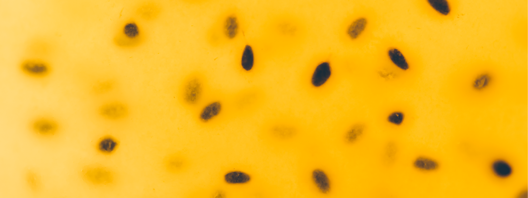 Close-up of a yellow surface with scattered black seeds.