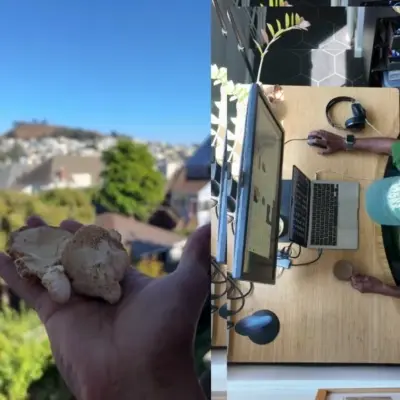 Split image: left hand holding ginger, right side shows a desk with a laptop and plant.