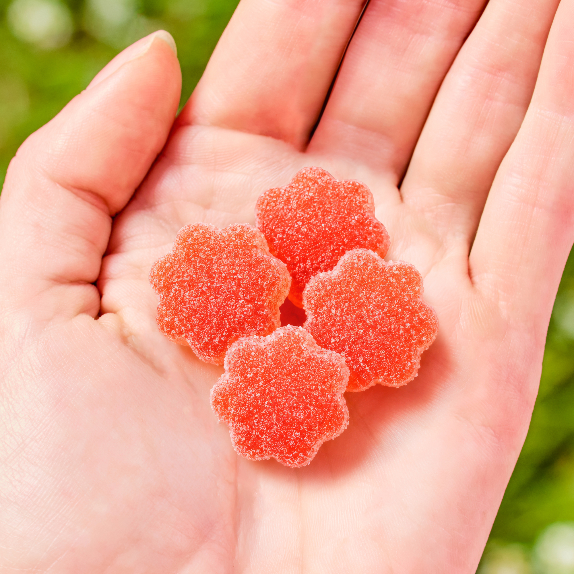 A close-up of a hand holding four red, flower-shaped, sugar-coated gummies against a green background.