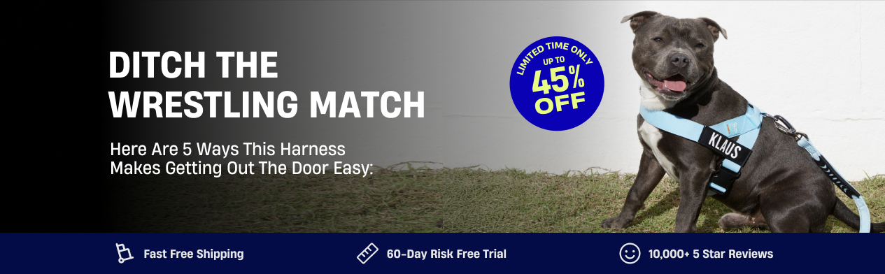 A smiling grey dog wearing a light blue harness sits on the grass in a promotional banner.