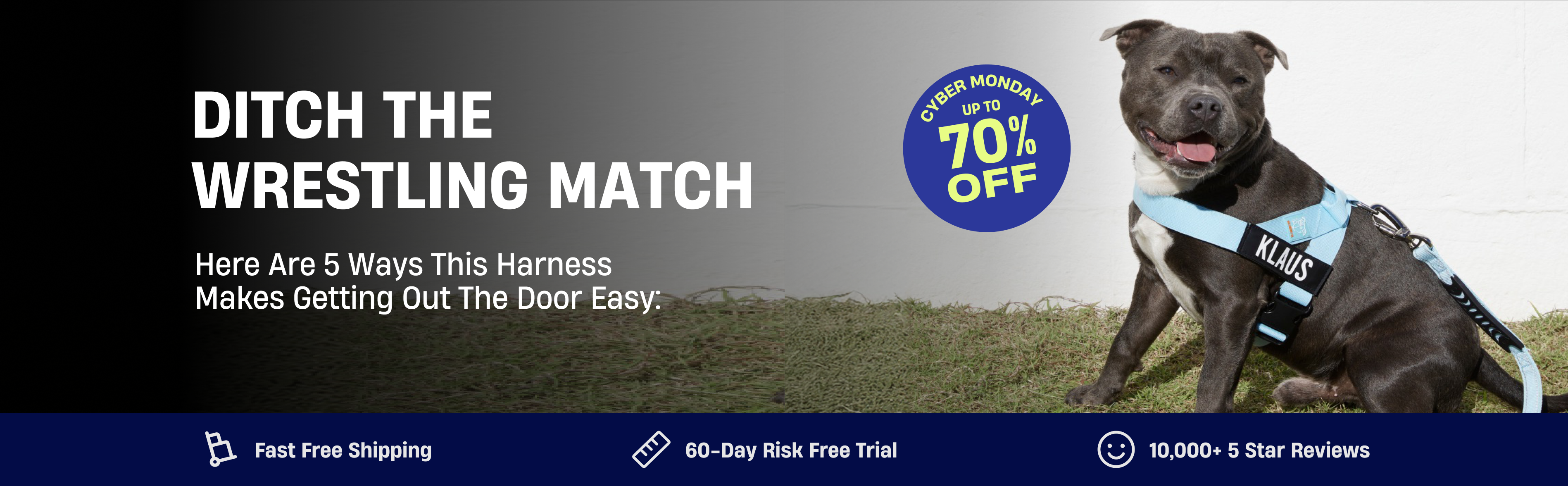 Dog wearing a blue harness sitting on grass, with promotional text.