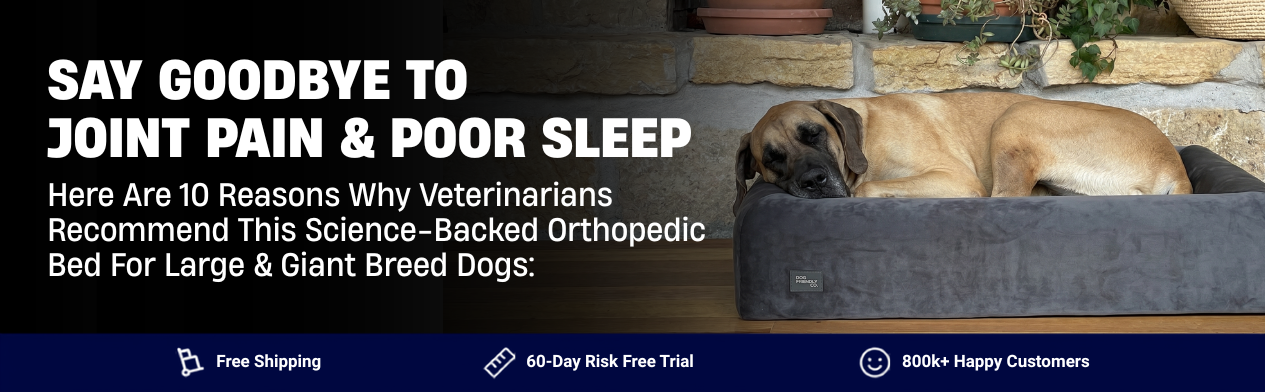 A large dog sleeping soundly in a gray orthopedic bed next to promotional text about joint pain relief.