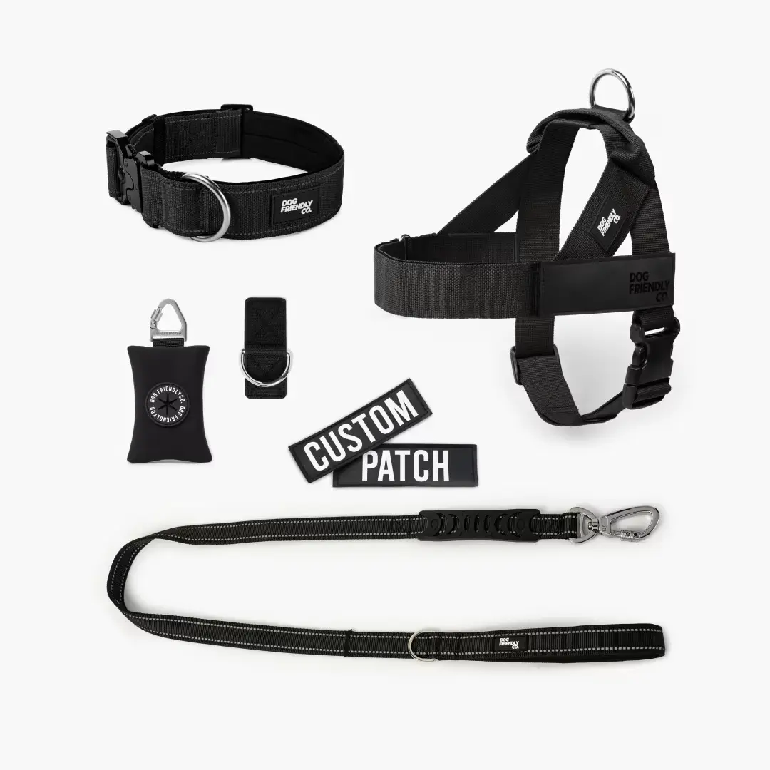 Black dog harness, collar, leash, and custom patch set on white background.