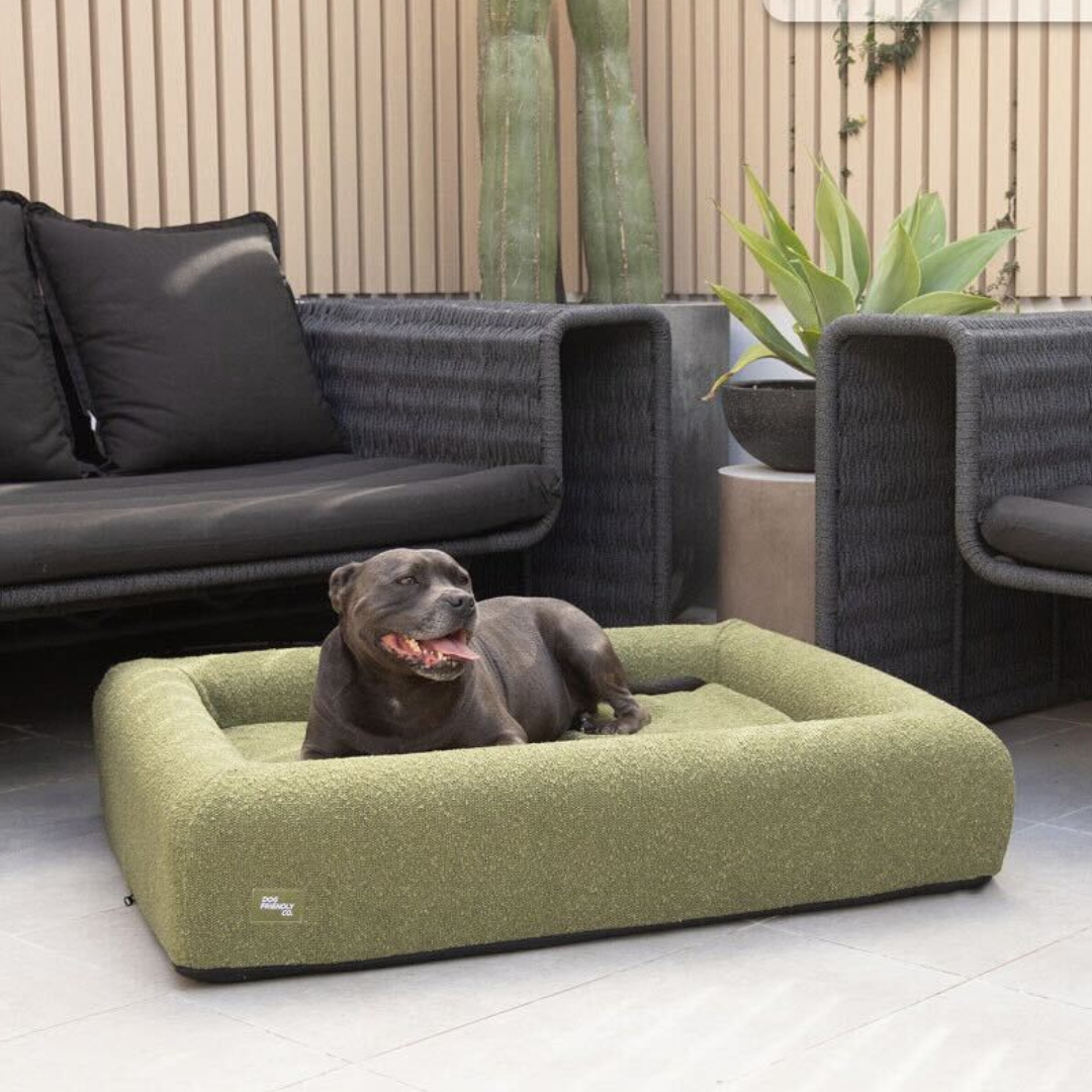 Dog lying on a green dog bed on a patio with black furniture.