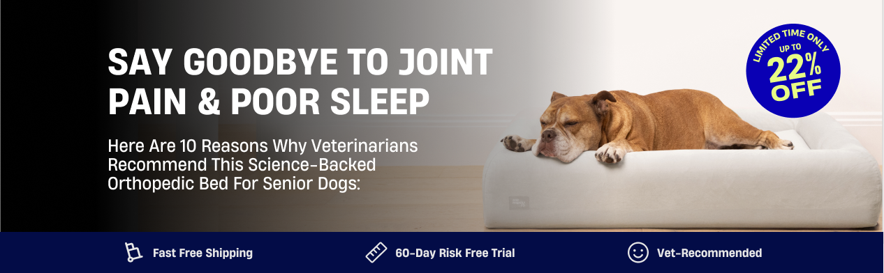 An advertisement showing a brown bulldog sleeping peacefully in a white orthopedic dog bed.