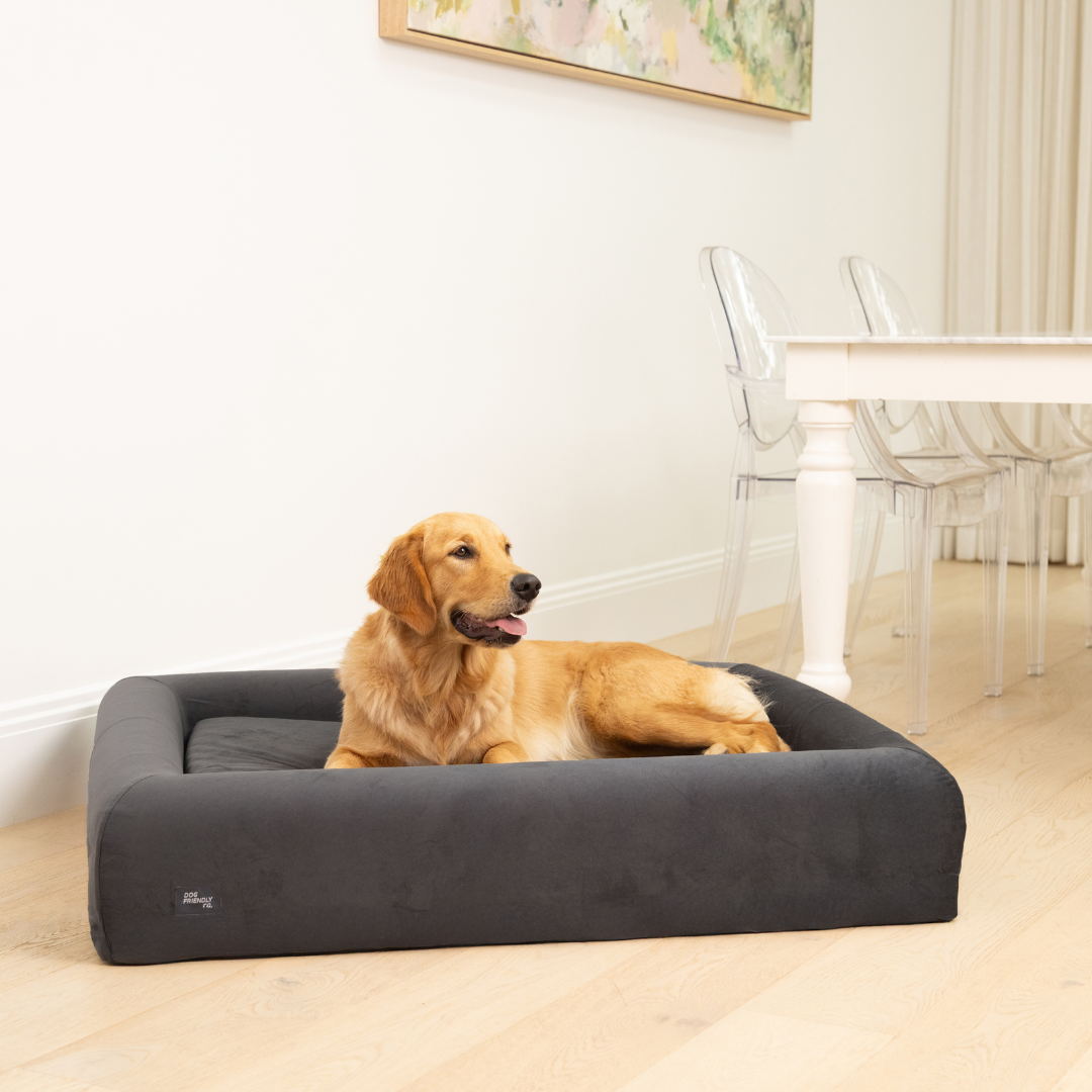 Premium Orthopedic Memory Foam Dog Bed - Charcoal (Small)