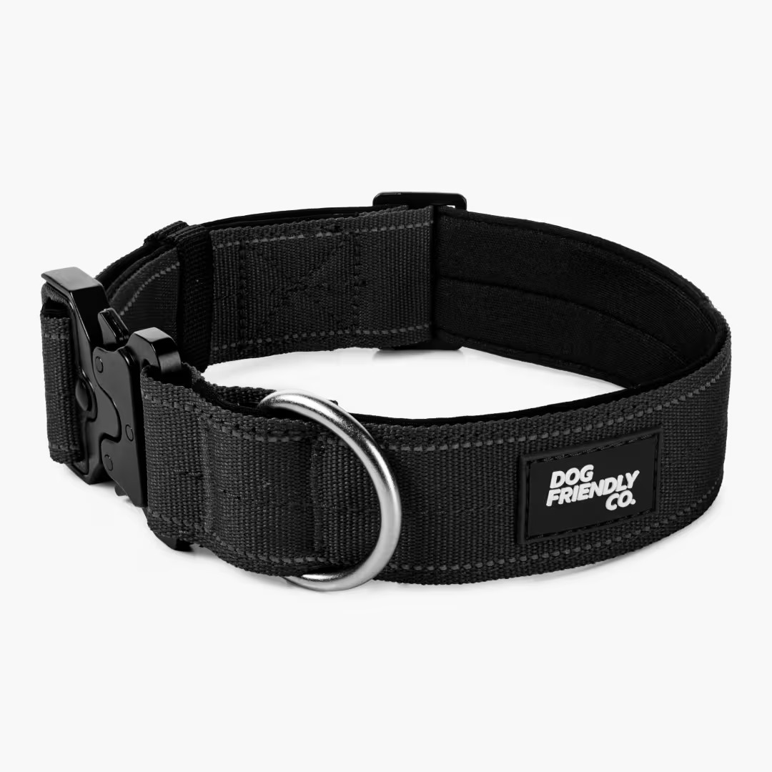 Black dog collar with metal buckle and 'Dog Friendly Co.' label.
