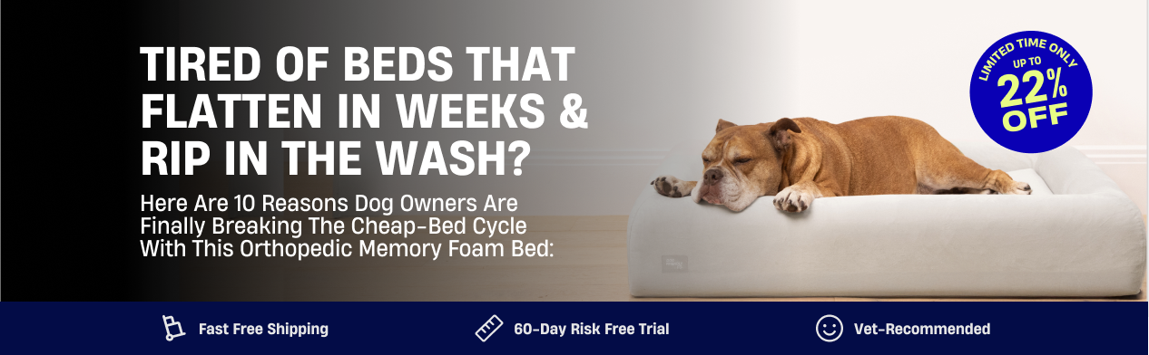 A brown bulldog sleeping on a plush white dog bed in a promotional banner.