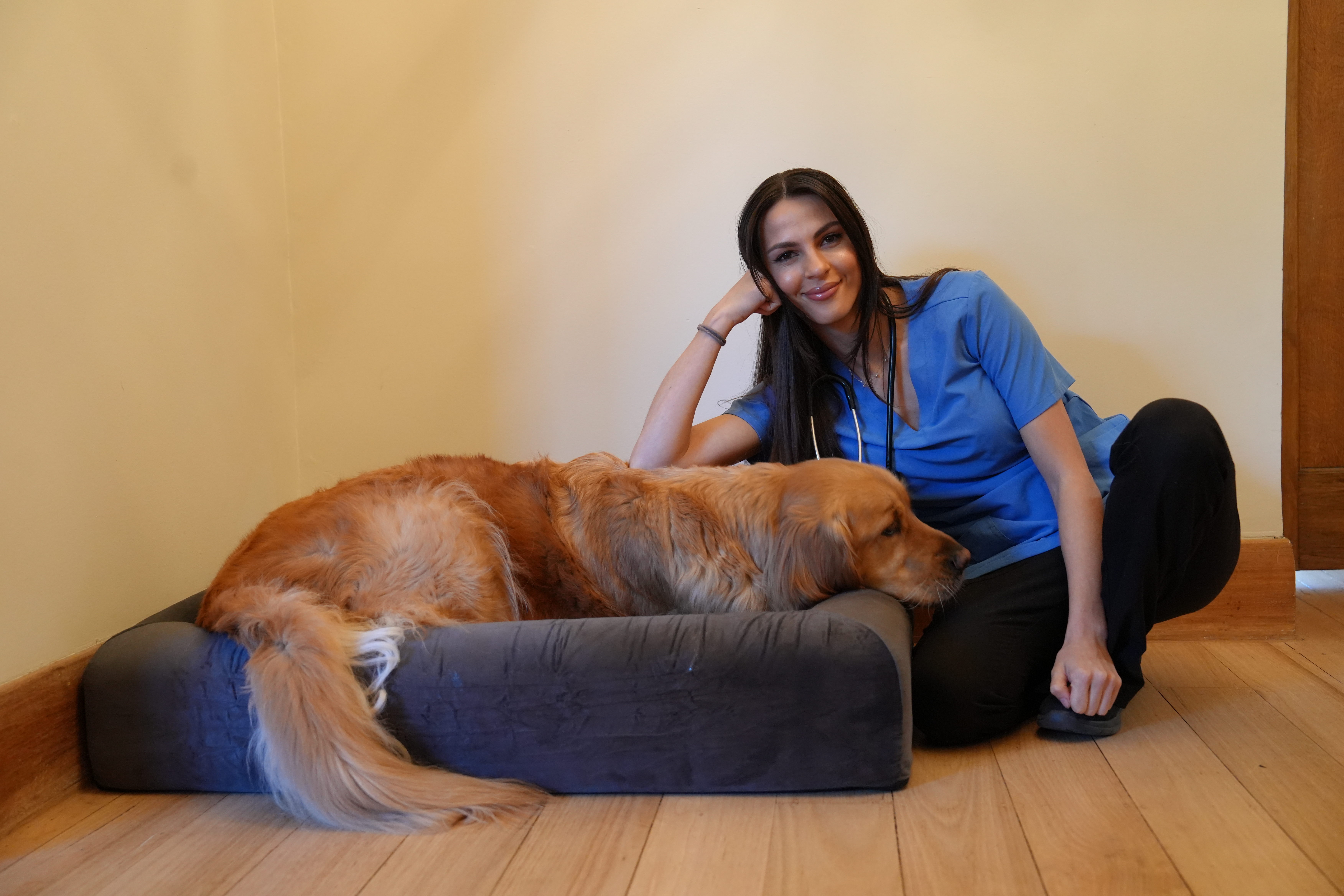 Person in scrubs sitting next to a dog on a pet bed.